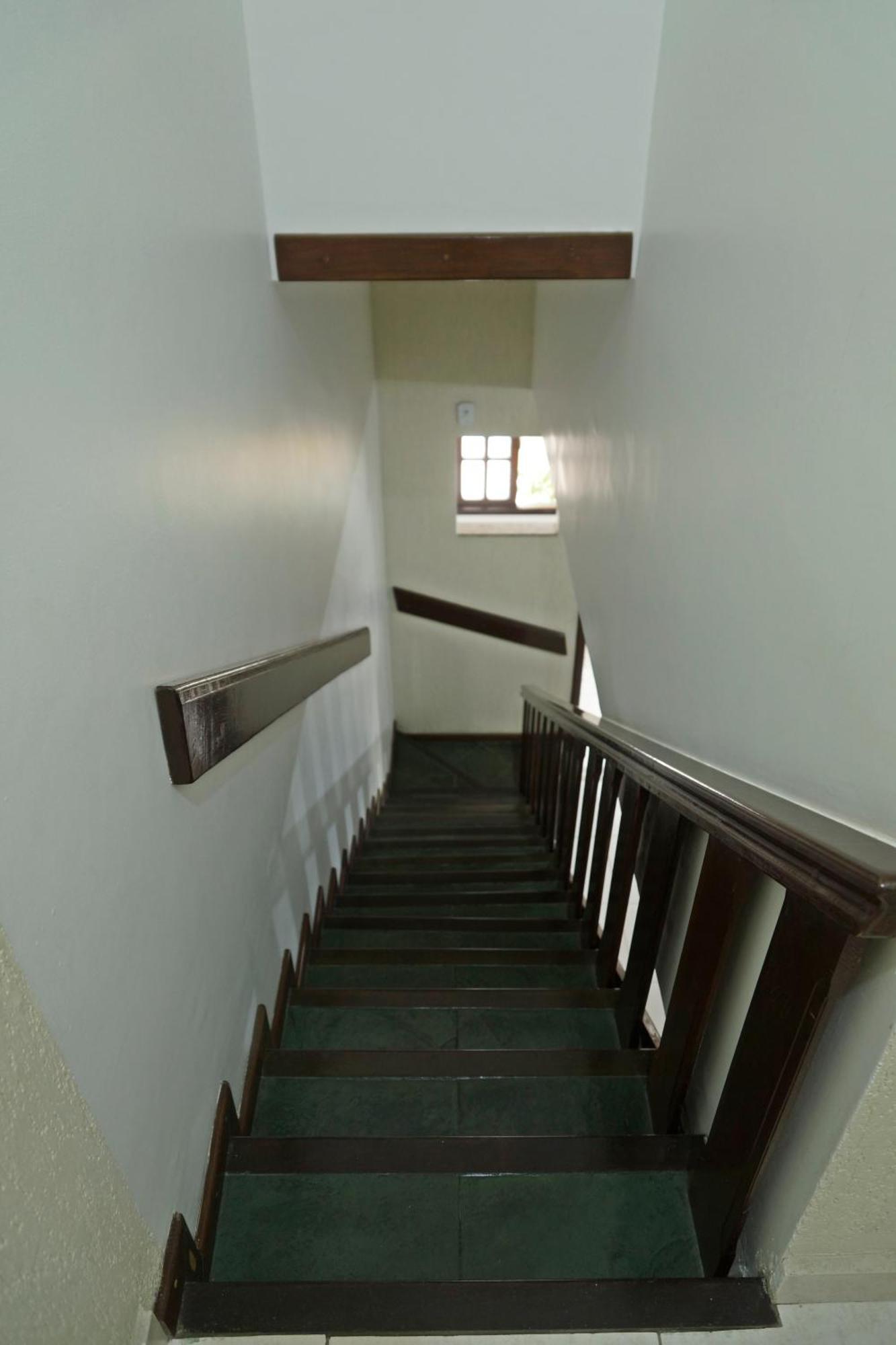 Canto Da Arvore 1